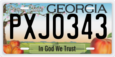 GA license plate PXJ0343