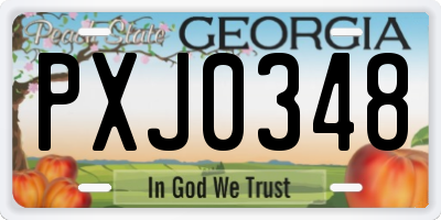 GA license plate PXJ0348