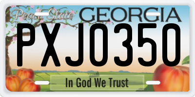 GA license plate PXJ0350