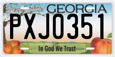 GA license plate PXJ0351