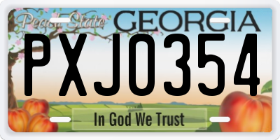 GA license plate PXJ0354
