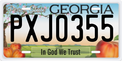 GA license plate PXJ0355