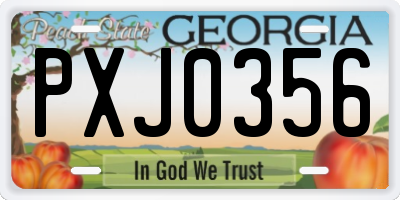 GA license plate PXJ0356