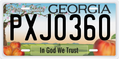 GA license plate PXJ0360