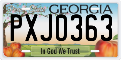 GA license plate PXJ0363