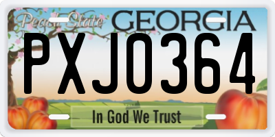 GA license plate PXJ0364
