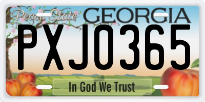 GA license plate PXJ0365