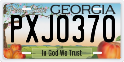 GA license plate PXJ0370