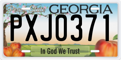 GA license plate PXJ0371