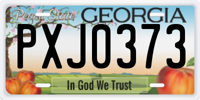 GA license plate PXJ0373