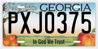 GA license plate PXJ0375