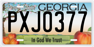 GA license plate PXJ0377