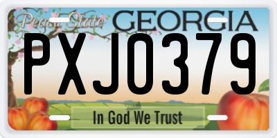 GA license plate PXJ0379