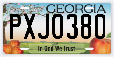 GA license plate PXJ0380