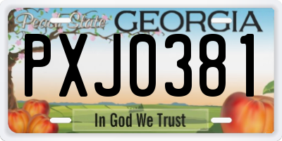 GA license plate PXJ0381