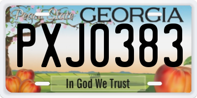 GA license plate PXJ0383