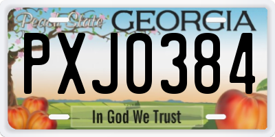 GA license plate PXJ0384