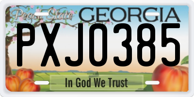 GA license plate PXJ0385