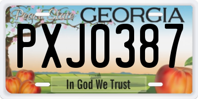 GA license plate PXJ0387