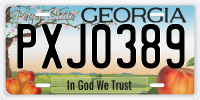 GA license plate PXJ0389