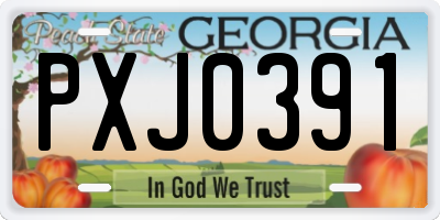 GA license plate PXJ0391