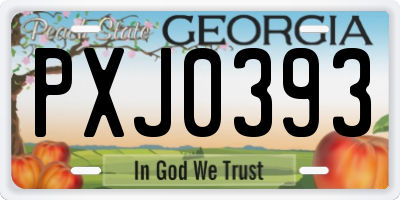 GA license plate PXJ0393