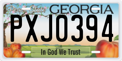 GA license plate PXJ0394