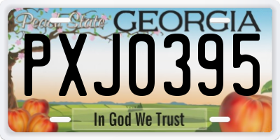 GA license plate PXJ0395