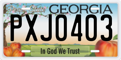 GA license plate PXJ0403