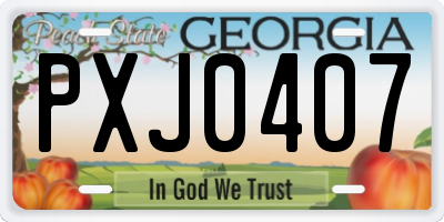 GA license plate PXJ0407