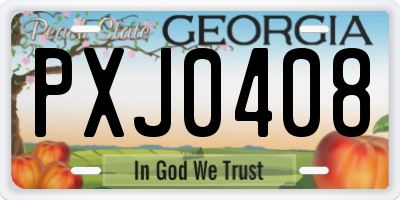 GA license plate PXJ0408
