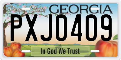 GA license plate PXJ0409
