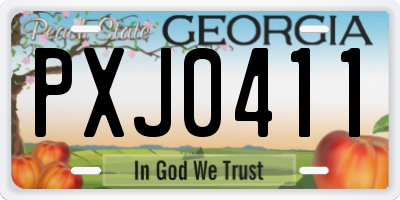 GA license plate PXJ0411