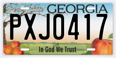 GA license plate PXJ0417