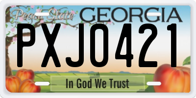 GA license plate PXJ0421