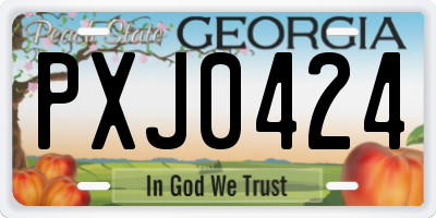 GA license plate PXJ0424