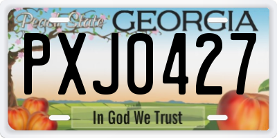 GA license plate PXJ0427