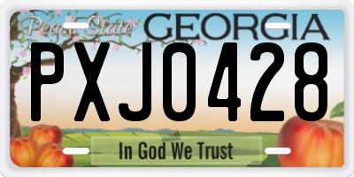 GA license plate PXJ0428