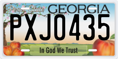 GA license plate PXJ0435