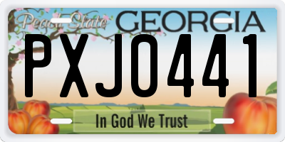 GA license plate PXJ0441