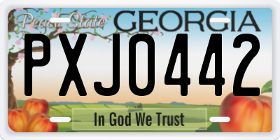 GA license plate PXJ0442