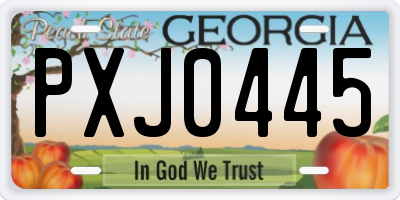 GA license plate PXJ0445