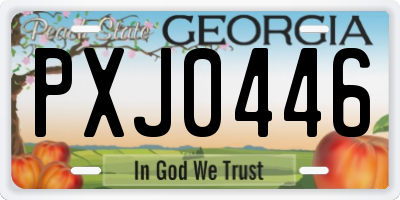 GA license plate PXJ0446