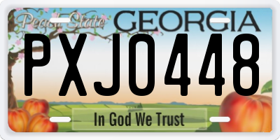 GA license plate PXJ0448