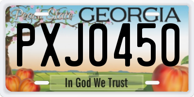 GA license plate PXJ0450