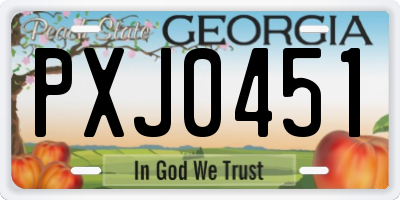 GA license plate PXJ0451