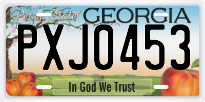 GA license plate PXJ0453