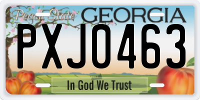 GA license plate PXJ0463