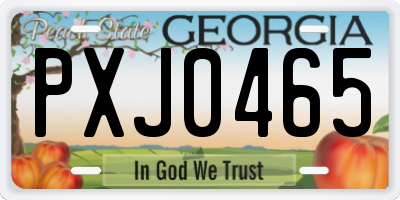 GA license plate PXJ0465