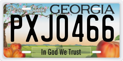 GA license plate PXJ0466